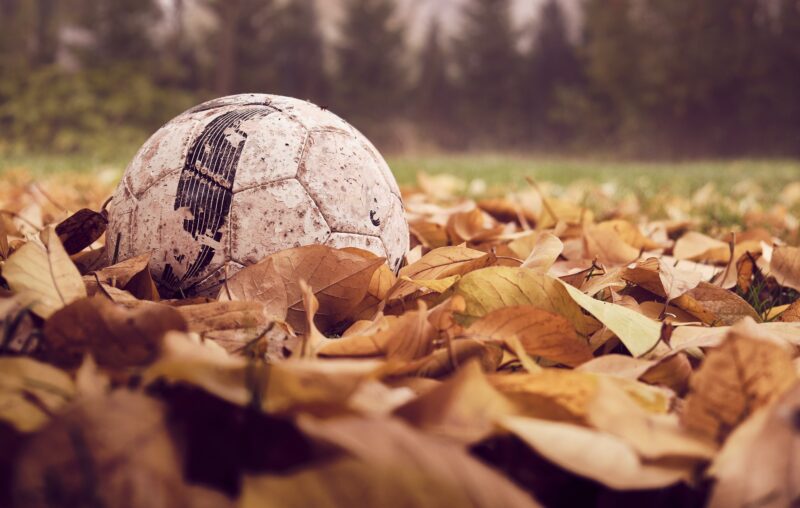 A football surrounded by fallen leaves in autumn