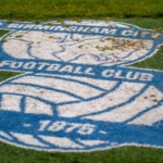 Birmingham City emblem on pitch at St Andrews home of Birmingham City FC